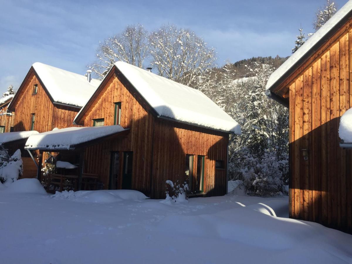 Alpenferienhaus Sophia Санкт Лоренцен об Мурау Екстериор снимка